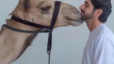 58de1de4dd089500628b4749