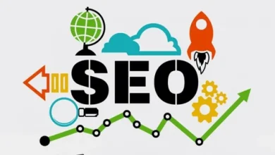 freelance seo services in india 500x500 1