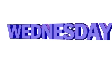 wednesday quotes funny2